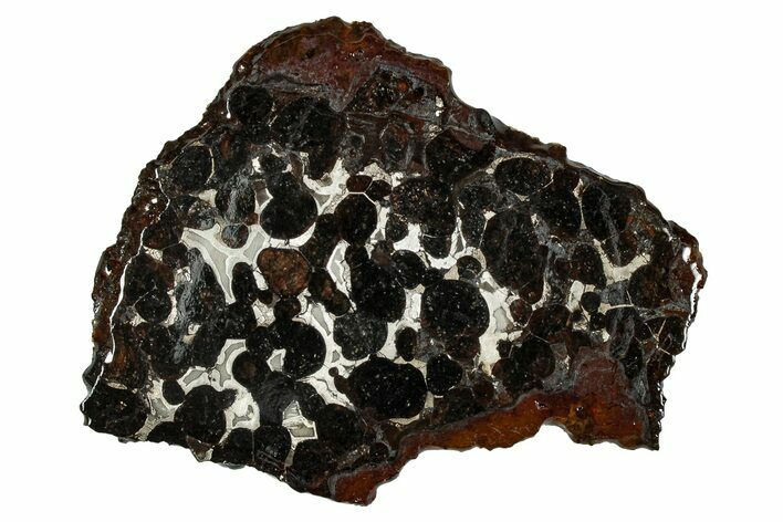 Sericho Pallasite Meteorite ( g) Slice - Kenya #335741